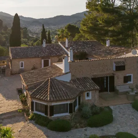 Especial El Pino En Villa Esporles