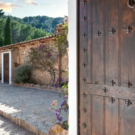Especial El Pino En Villa Esporles