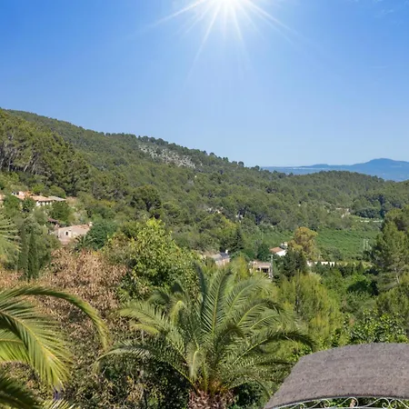 Especial El Pino En Esporles