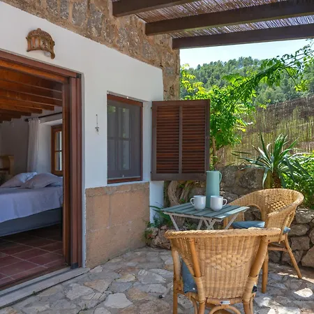 Especial El Pino En Villa *
